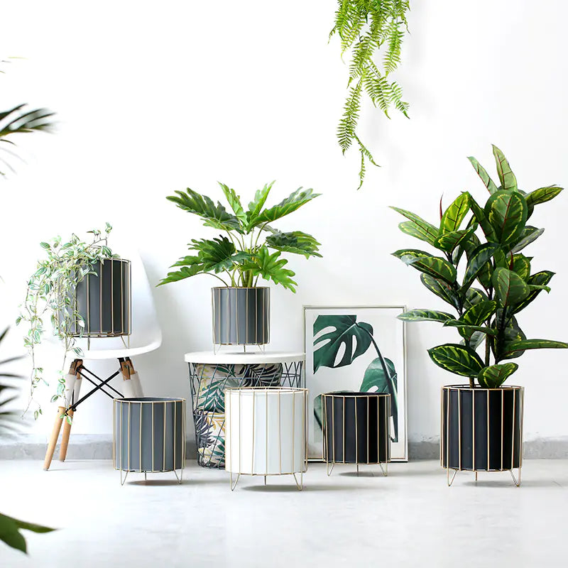 Nordic Style Iron Planter with Gold Trim (Large)