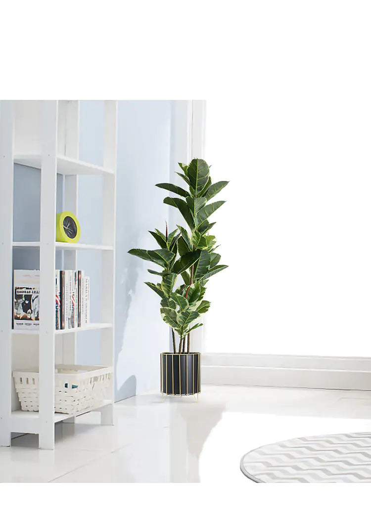 Nordic Style Iron Planter with Gold Trim (Large)